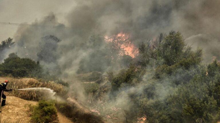 Σε 135.000 στρέμματα υπολογίζεται η έκταση του καμένου δάσους στη Ρόδο