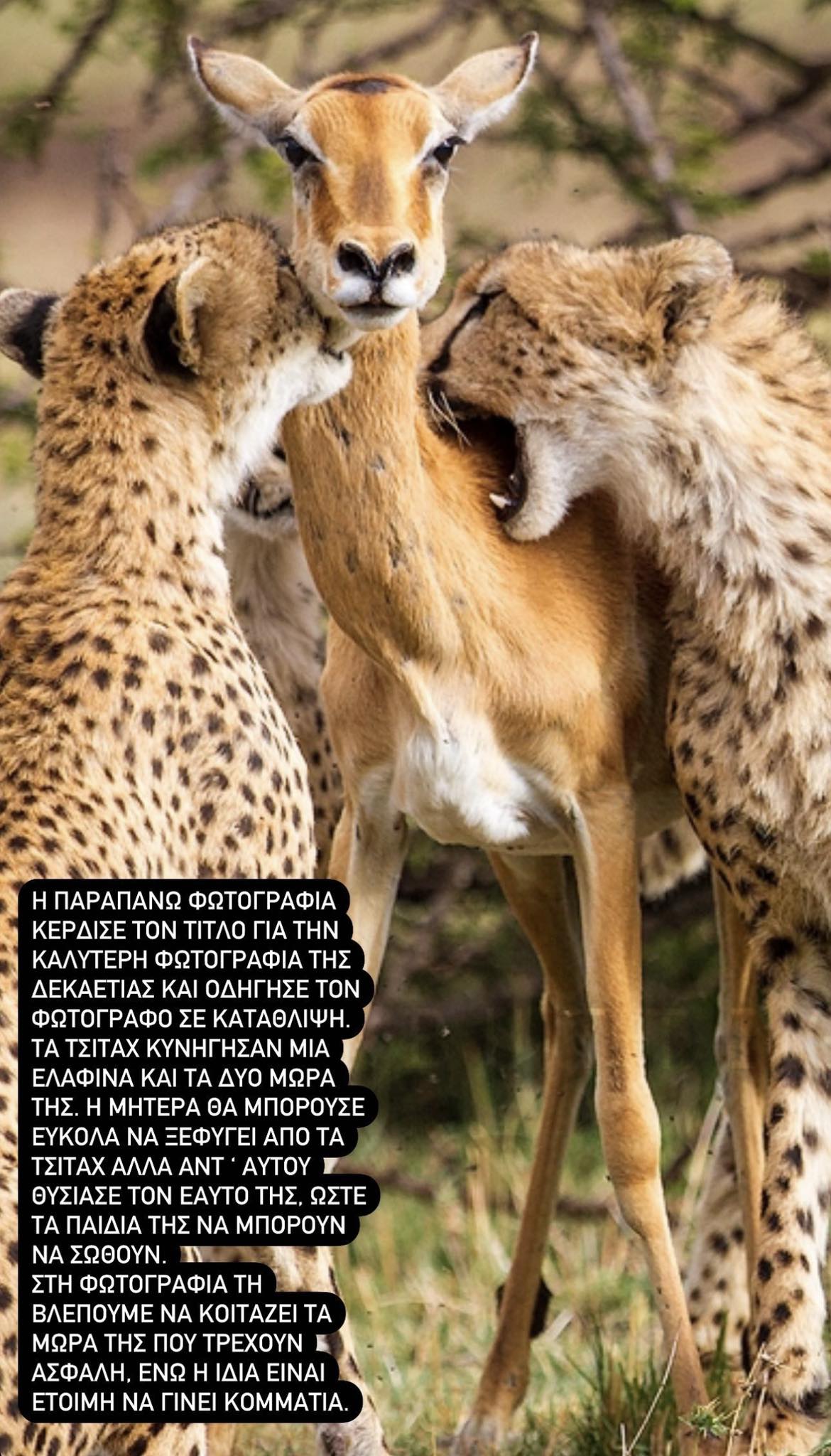 ;&sigmaf;&Epsilon;&Rho;