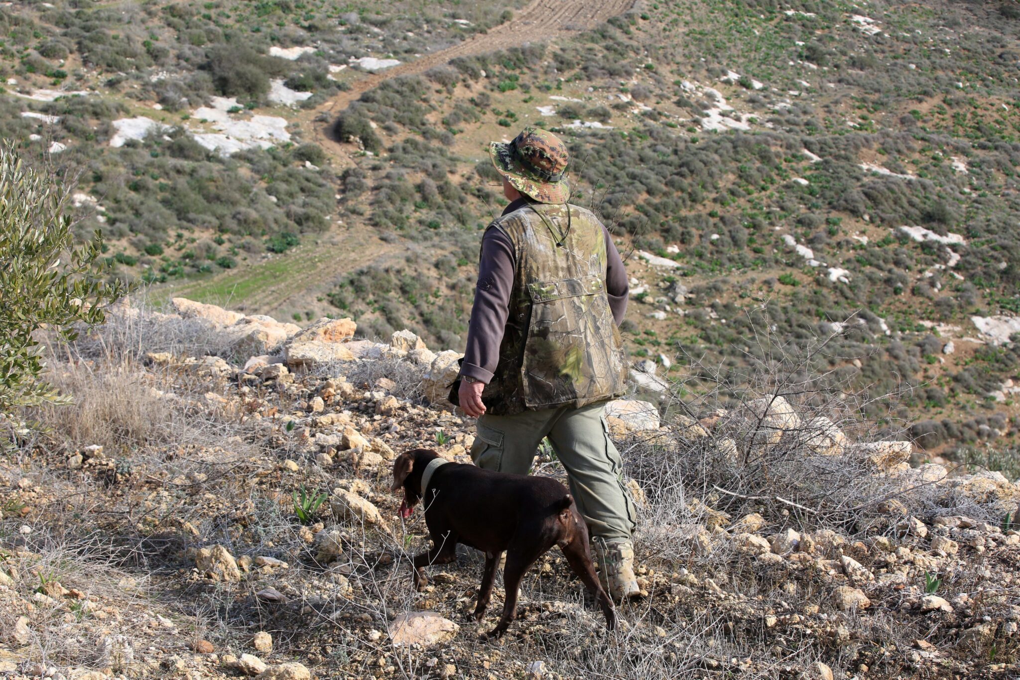 Στο κυνήγι… με την ΑrtemisCy: Όσα αλλάζουν στη φετινή εξόρμηση και τα πρόστιμα