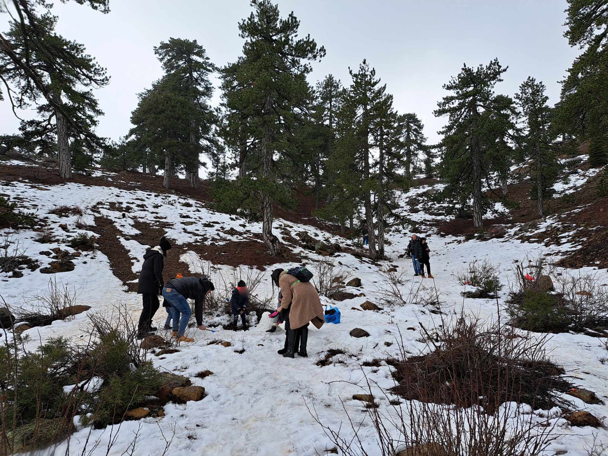 ΦΩΤΟ: Εξόρμησαν για στιγμές ξεγνοιασιάς και παιχνίδια στο χιονισμένο Τρόοδος