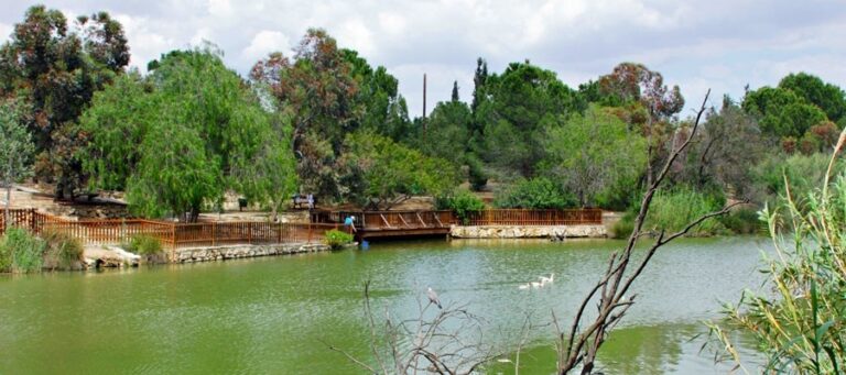 Πυρκαγιά στο Πάρκο Ακαδημίας: Διερευνώνται τα αίτια πρόκλησης της φωτιάς