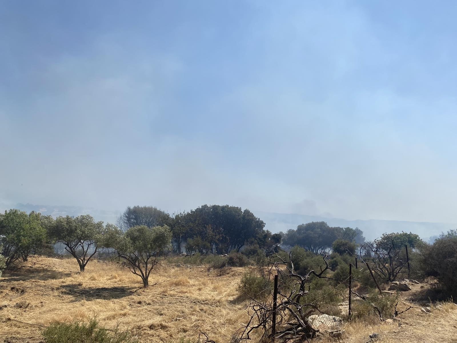 Έκρηξη πυρκαγιών στην Κύπρο, στο πόδι πυροσβέστες και αστυνομικοί