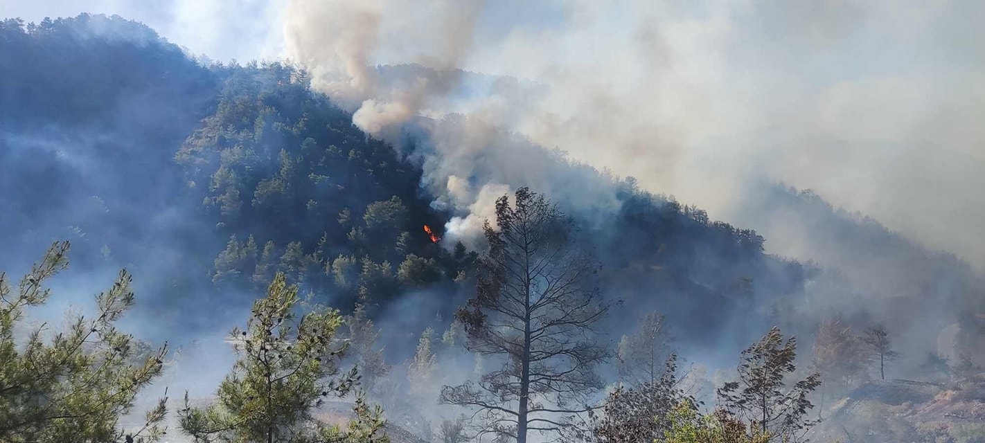 Ολονύχτια μάχη να μη φτάσει η φωτιά στο Δάσος του Μαχαιρά: «Εν κρουσμένα ούλλα»