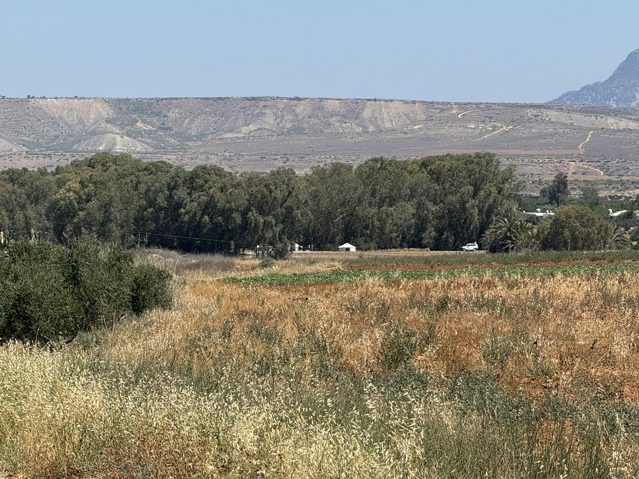 ΜΕΤΑΝΑΣΤΕΣ