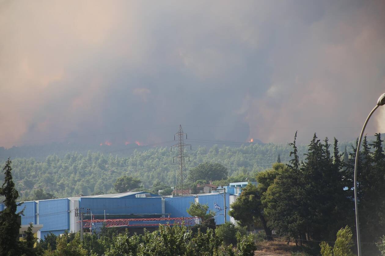 Απανωτά μηνύματα από το 112 για φωτιά στο Κορωπί, μπήκε σε σπίτια η πυρκαγιά