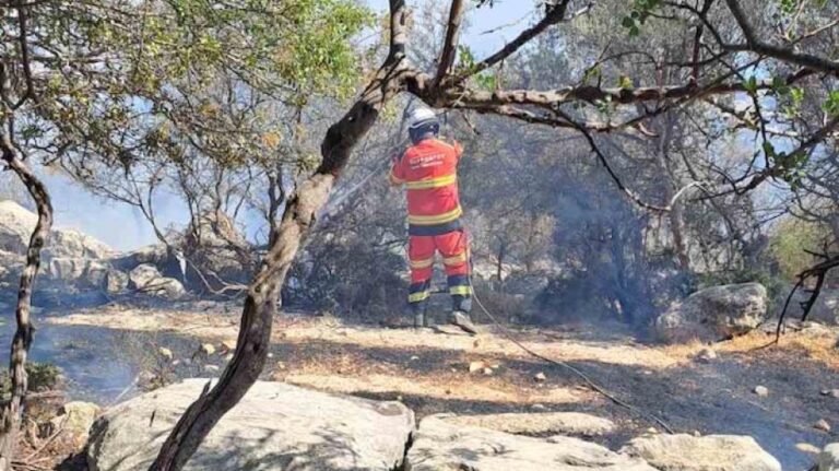 Φωτιά στην Ανώγυρα: Μαρτυρία για όχημα στο σημείο, συνελήφθη 32χρονος