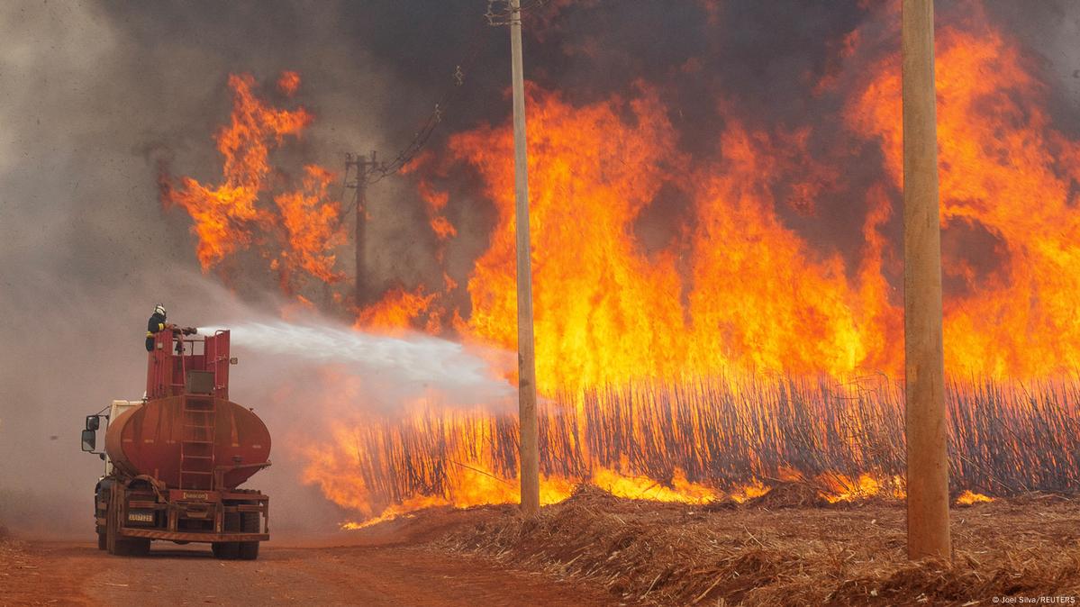 Σε κατάσταση εκτάκτου ανάγκης 45 πόλεις στη Βραζιλία λόγω πυρκαγιών (ΒΙΝΤΕΟ)